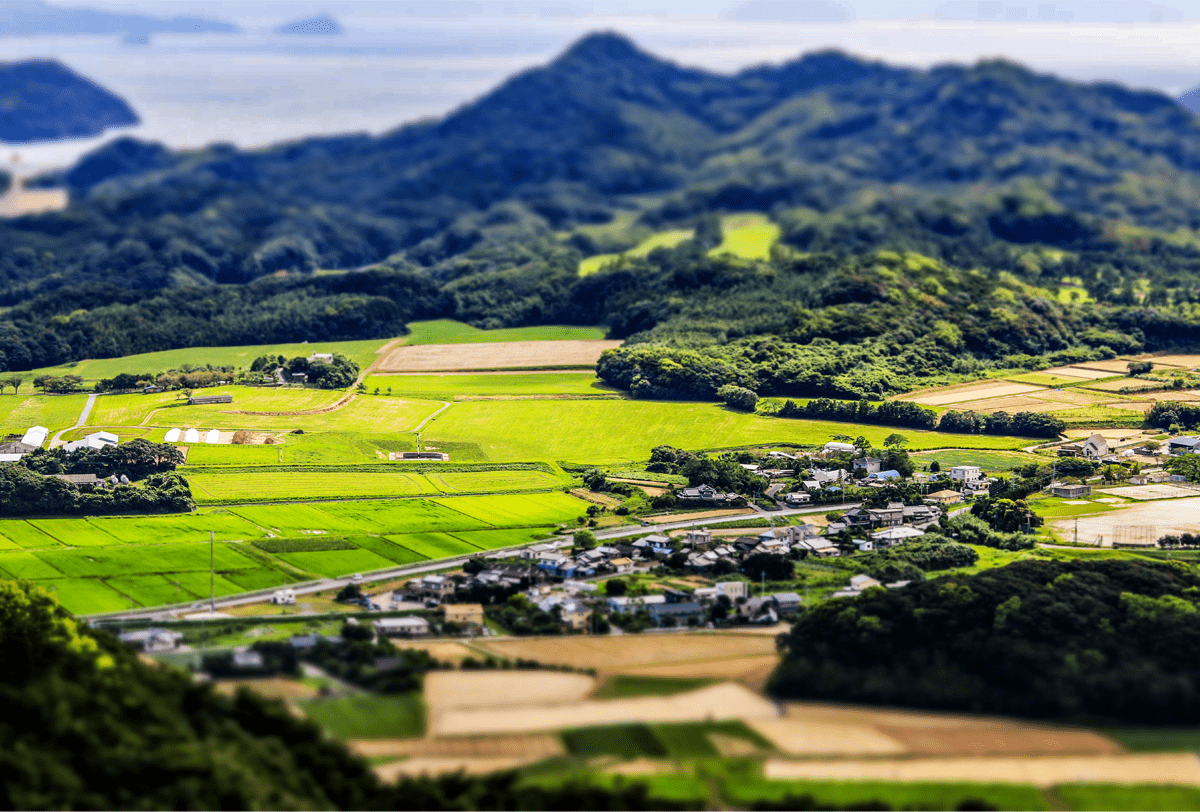 銀嶺タクシー夏の観光